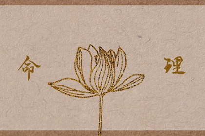 择吉老黄历,择吉日历,择吉老皇历